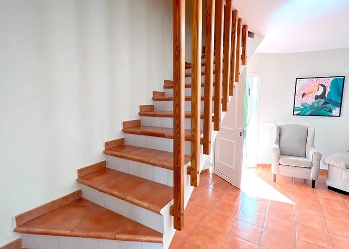 0682 Molins Escorpio *